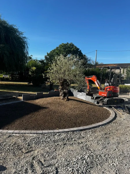 Bordure pavés Khann pour plantation olivier